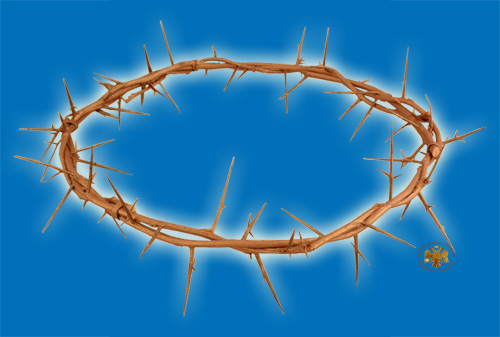 Christ\'s Crown Of Thorns